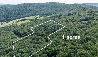 253 Davis Hollow Rd, Andes, NY 13731