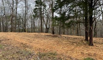 Willow Grove Hwy lot 2, Allons, TN 38541