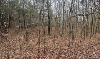 Lot 17 - Block 1 Oniell CIR, Bella Vista, AR 72715