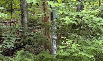 239 Small Rd, Brookfield, VT 05036