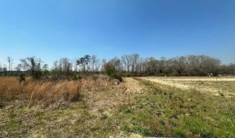 TBD Shine Rd, Johnsonville, SC 29555