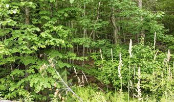 38 F Lang Rd, Bath, NH 03740
