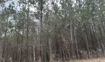 St. Johns Road, Braxton, MS 39044