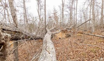 County Road 19-A, Alton, MO 65606