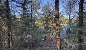 V/L Wildwood Road lot 9, Alger, MI 48610