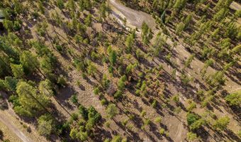 CR 2193, Alpine, AZ 85920