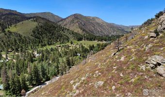 32160 Poudre Canyon Rd, Bellvue, CO 80512