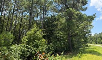 Mountain View Way, Bainbridge, GA 39819