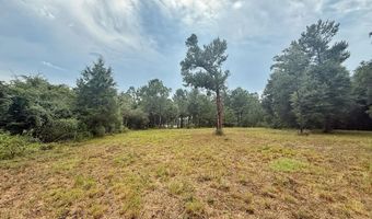 McPherson Drive, Alford, FL 32420