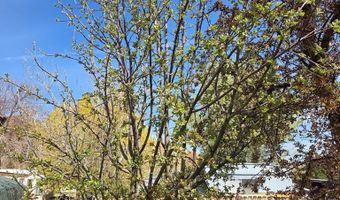410 E Butte Ave, Challis, ID 83226