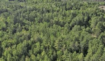 31 Howard Siding Lane Ln, Abbot, ME 04406