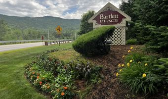 4 Bartlett Place Rd, Bartlett, NH 03812