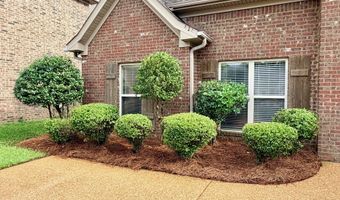424 Julee Cir, Brandon, MS 39042