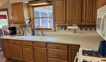 6955 Cedar Rd, Alanson, MI 49706