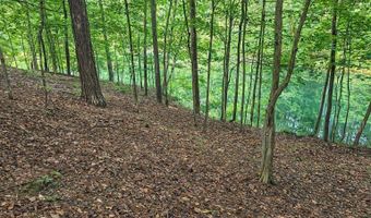 841 RAINTREE Dr Lot 53, Alexander City, AL 35010