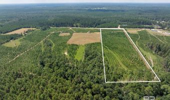 0 Horseneck Rd, Bay Minette, AL 36507