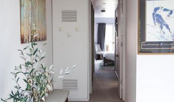 210 E Cooper Ave 3-E, Aspen, CO 81611