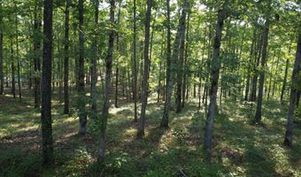 LOT 1 WINDING CREEK LANE Ln, Arley, AL 35541