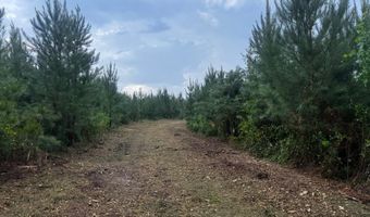 Ms Hwy 540, Braxton, MS 39044