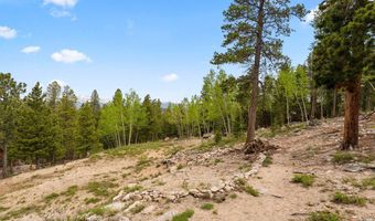 109 Cutforth Rd, Black Hawk, CO 80422