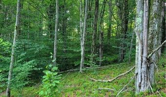 Lot # 19 Brush Hollow Road, Bovina, NY 13740