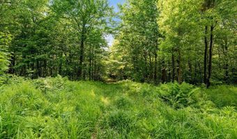 115 Stone Hill Rd, Bolton, VT 05477
