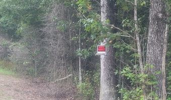 00 Coot Adams Rd, Ashford, AL 36312