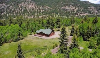 421 Elk Meadow Run, Antonito, CO 81120