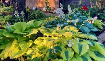 2822 Country Club Dr, Atlantic, IA 50022