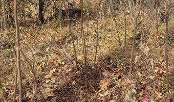 TBD CR 3605, Ada, OK 74820