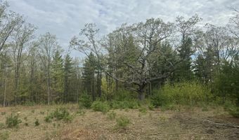 L15 S Durham Estates Road, Acra, NY 12405