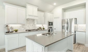 1017 Snowy Owl Dr, Alvarado, TX 76009