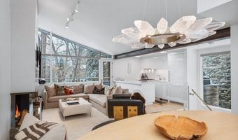 1001 E Cooper Ave 1, Aspen, CO 81611