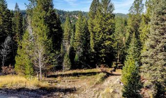 201 Tripod Vw, Cascade, ID 83611