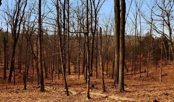 Katu Trail and Penn Forest, Albrightsville, PA 18210