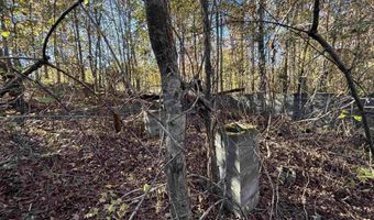 0 WALDROP Rd 10.82 Acres, Ashville, AL 35953