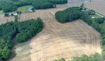 9035 New Sandy Hill Church Rd, Bailey, NC 27807