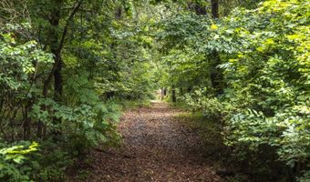 1569 Spider K Rd, Anderson, MO 64831