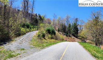 31 32 Running Bear Cir, Banner Elk, NC 28604