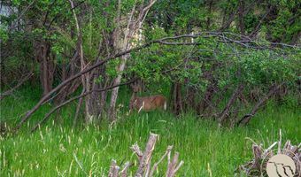 21 Old Boulder Rd, Big Timber, MT 59011