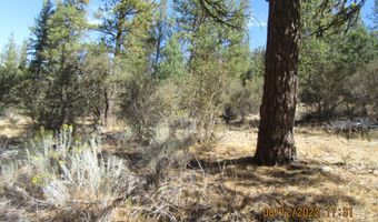 Brown Bear Lane lot 12W2, Bonanza, OR 97623