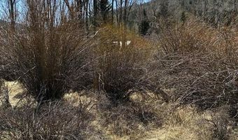 Cottonwood Drive lot 48, Antonito, CO 81120