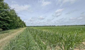 Dummyline Road, Batesville, MS 38606