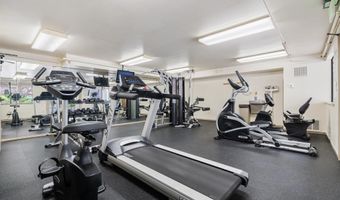 545 Pierce St 1206, Albany, CA 94706