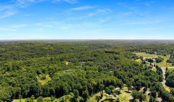 11215 Appleridge Trl, Alden, MI 49612