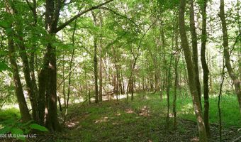 Pleasant Hills Road, Amory, MS 38821