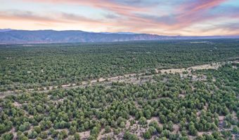 39 Acres Off South Carson Rd, Carson, NM 87517