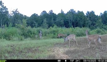 00 Ebenezer Church Rd, Bassfield, MS 39421