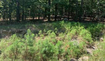 39 Viajero Dr, Hot Springs Village, AR 71909