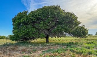 373 County Road 1475, Alvord, TX 76225